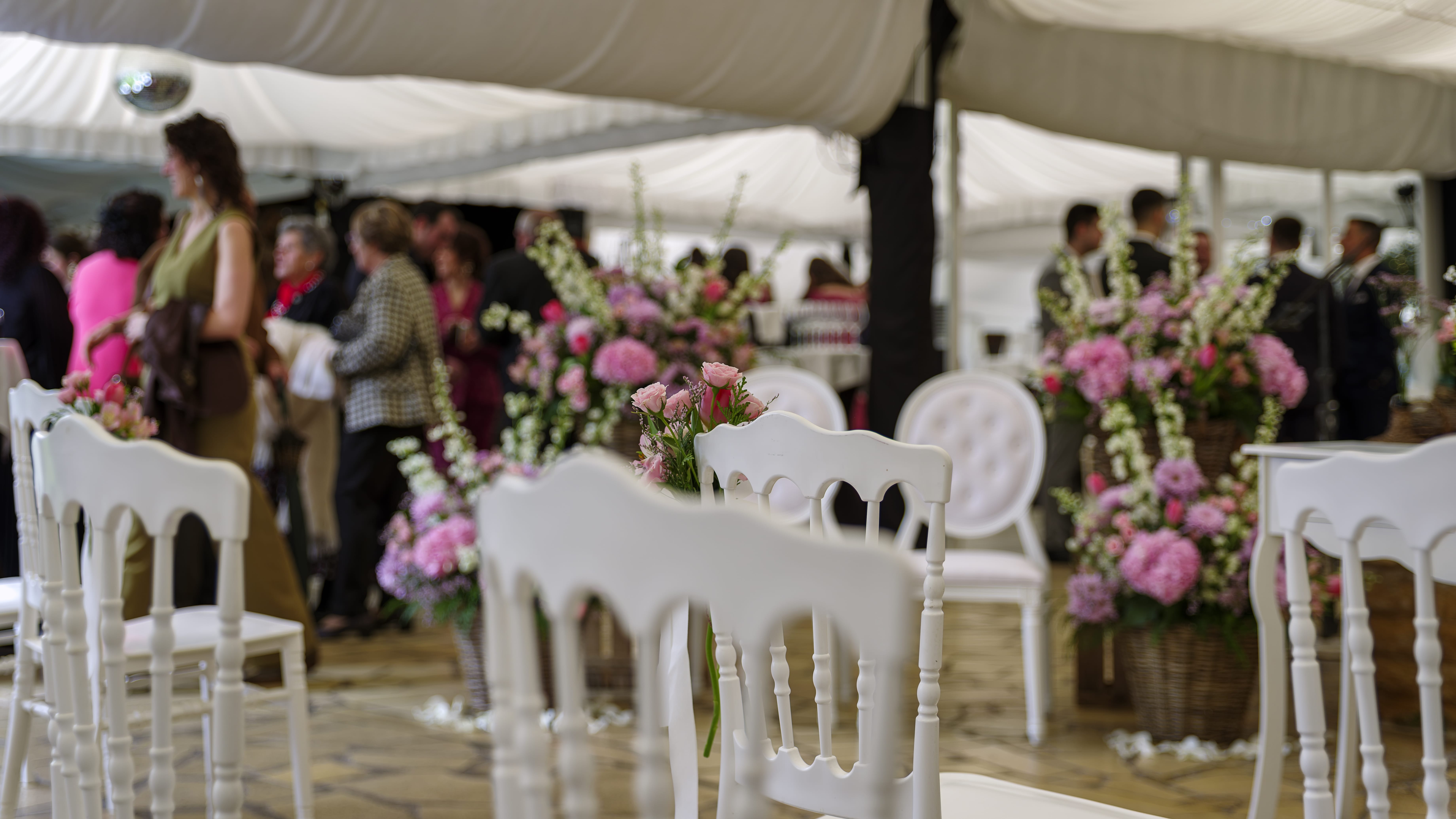 invitados celebrando boda en Laguardia
