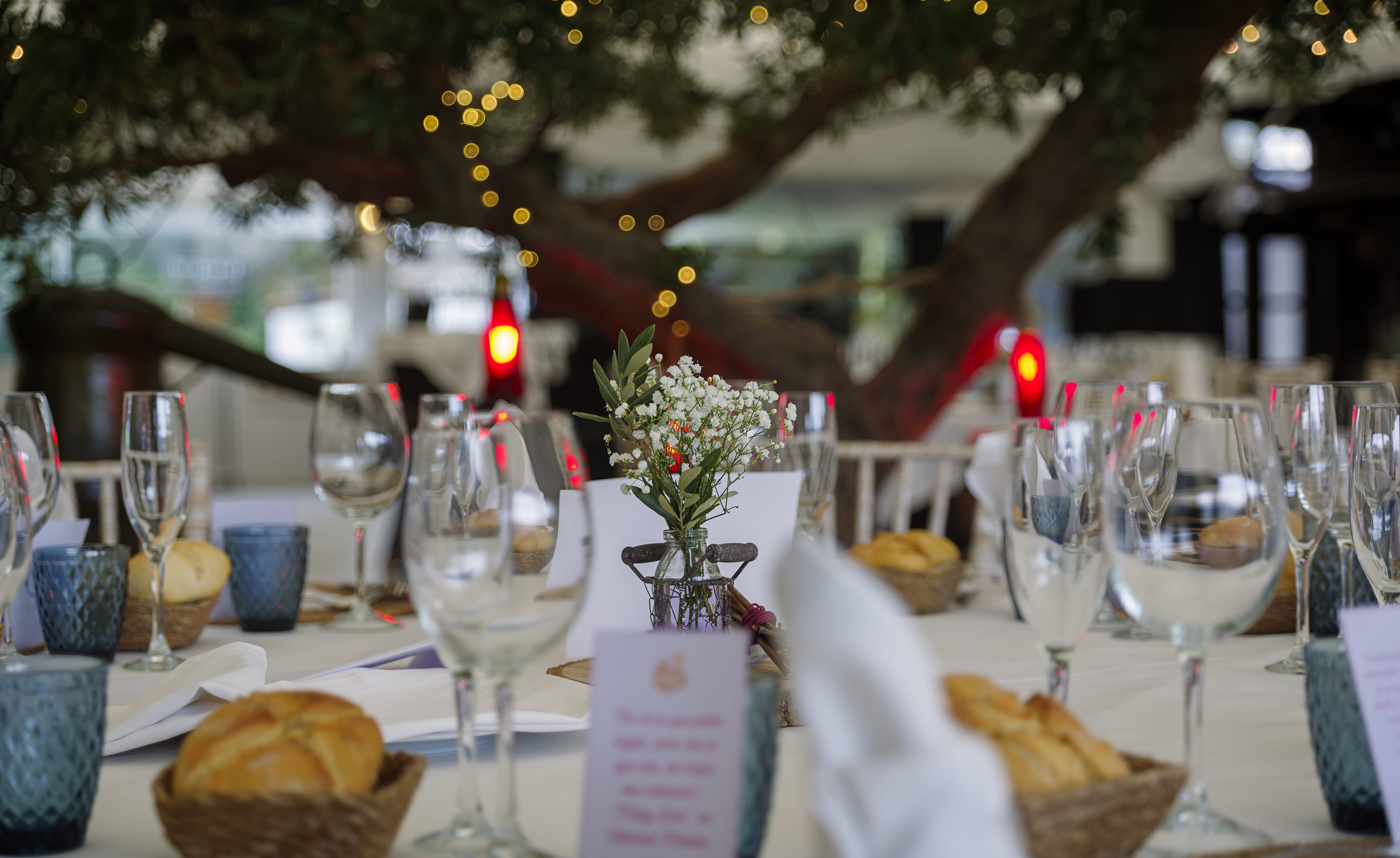 montaje boda en carpa Villa-Lucía