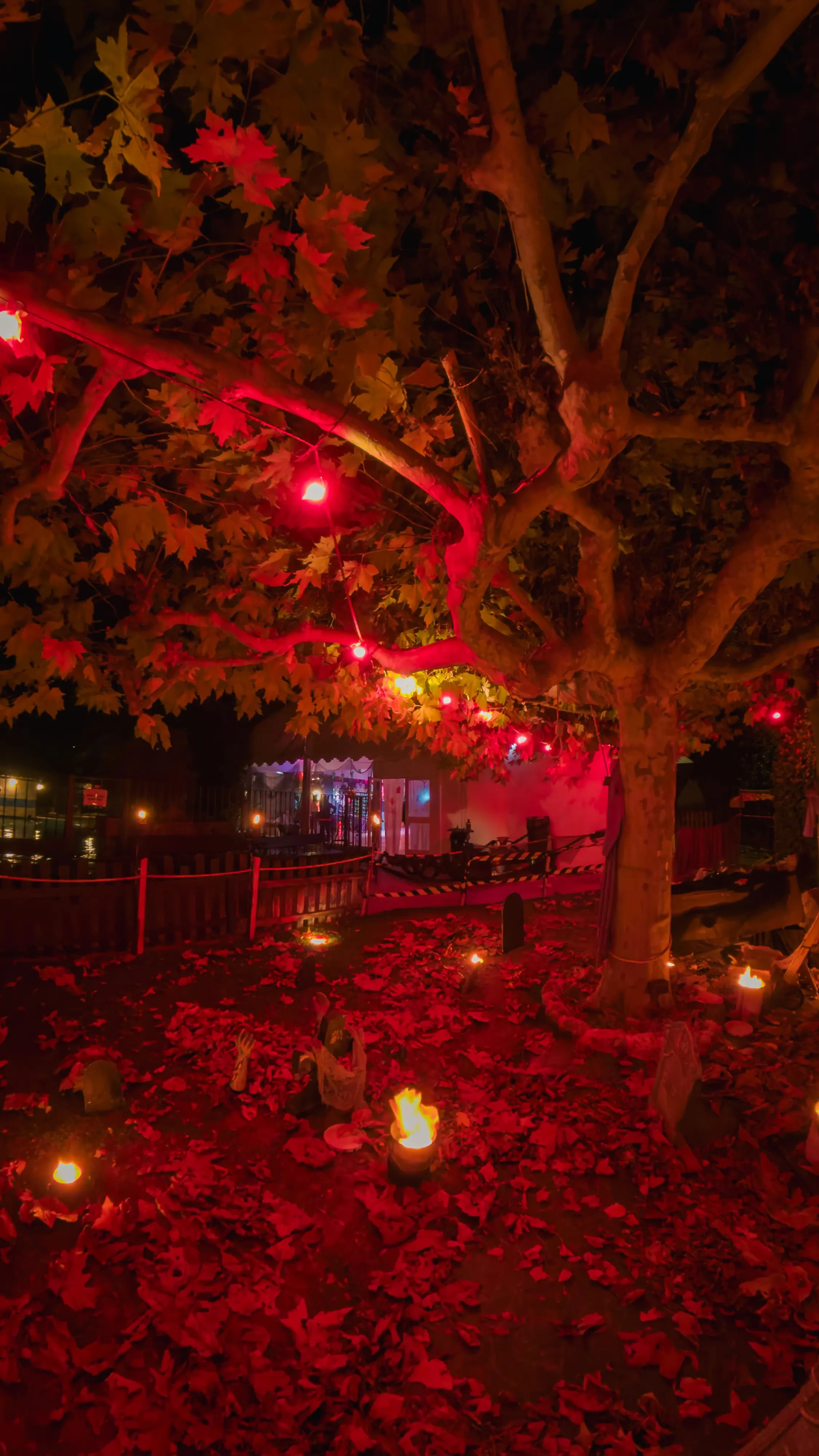 Jardines de Villa-Lucía iluminados durante la Halloween Celtic Party, ambiente celta y decoración temática.